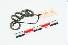 Foto von Bronzering (NHMW-PRAE-026345)
